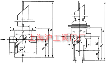 篮式过滤器主要外形及结构尺寸示意图