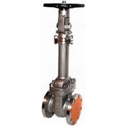 WZ40H-40 型波纹管闸阀