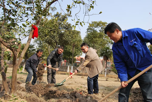 董事长杨猛、工会主席林银华、生产部部长杨张仁、质检部部长陈桑在植树