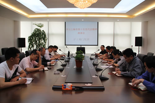 3044永利集团召开学习上海市第十次党代表大会精神座谈会