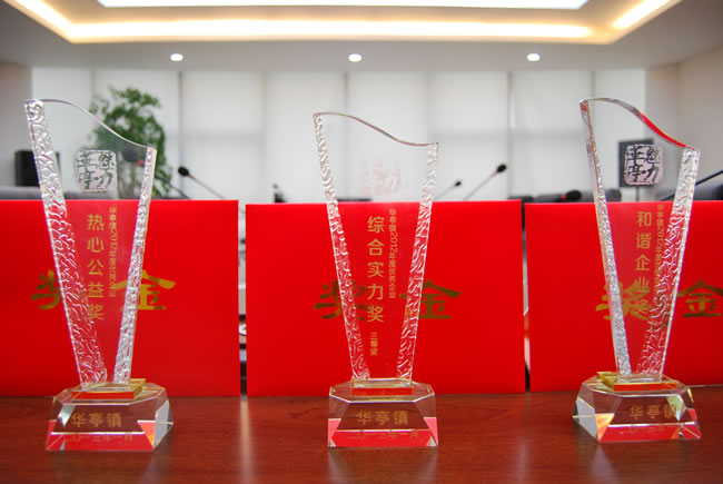 公司荣获华亭镇2012年度优秀企业三项大奖奖杯