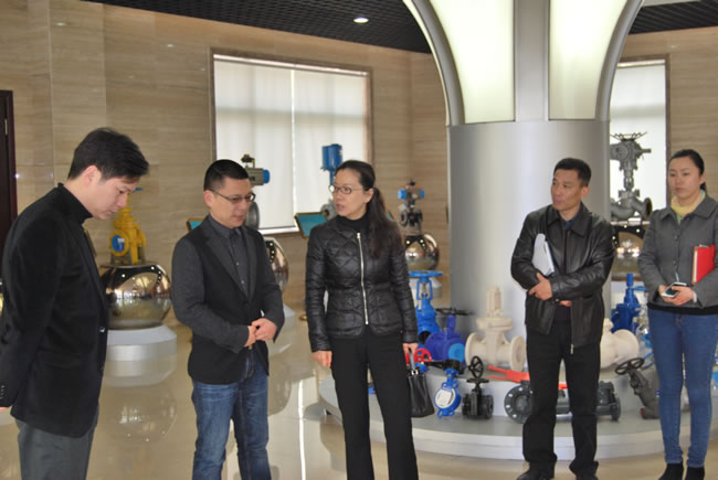 区领导视察、参观公司荣誉展厅