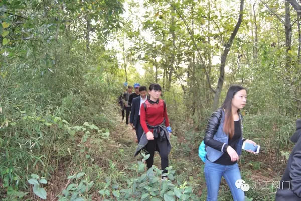 上海沪工阀门厂2016年秋季徒步毅行活动 图4