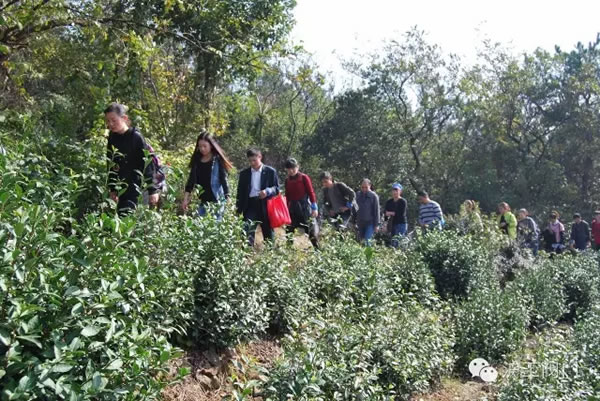 上海沪工阀门厂2016年秋季徒步毅行活动 图5