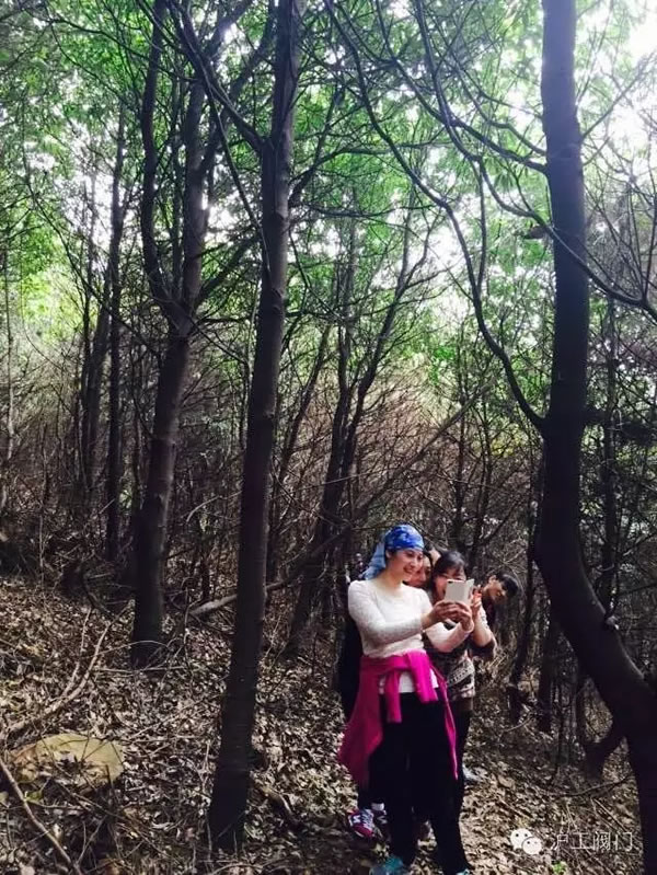 上海沪工阀门厂2016年秋季徒步毅行活动 图14