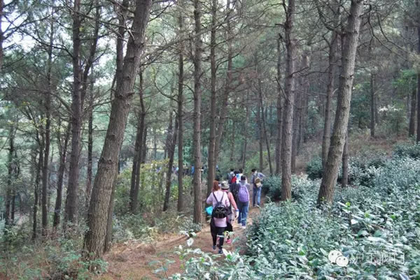 上海沪工阀门厂2016年秋季徒步毅行活动 图24