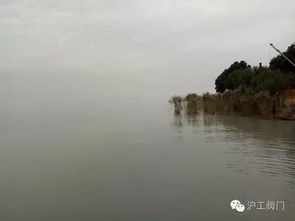 上海沪工阀门厂2016年秋季徒步毅行活动 图26