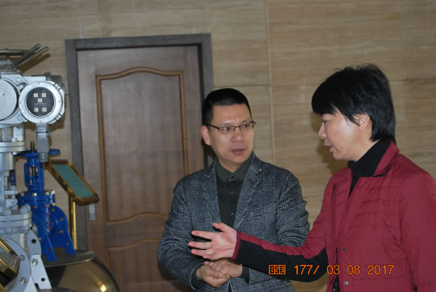 华亭镇党委书记何蓉在我公司调研图片（1）