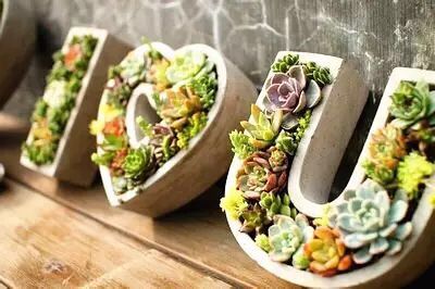 华亭镇团委联合上海沪工阀门厂开展微景观绿植DIY活动(图1)