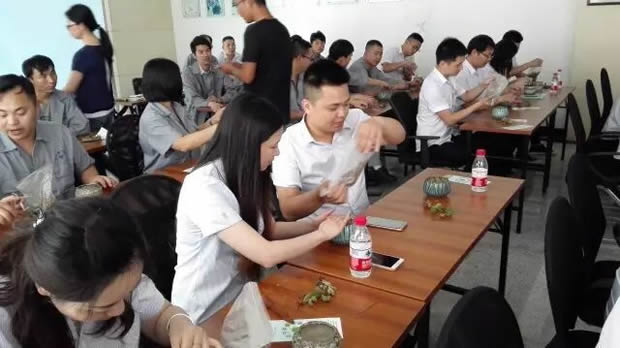 华亭镇团委联合上海沪工阀门厂开展微景观绿植DIY活动(图7)