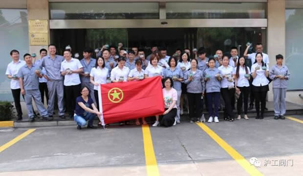 华亭镇团委联合上海沪工阀门厂开展微景观绿植DIY活动(图8)