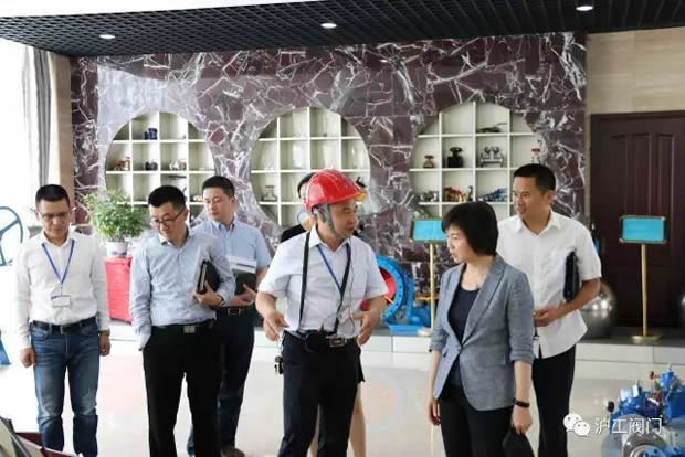 嘉定区副区长陆祖芳等领导一行莅临我公司视察指导工作（图4）