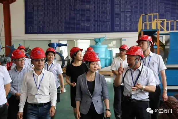 嘉定区副区长陆祖芳等领导一行莅临我公司视察指导工作（图6）