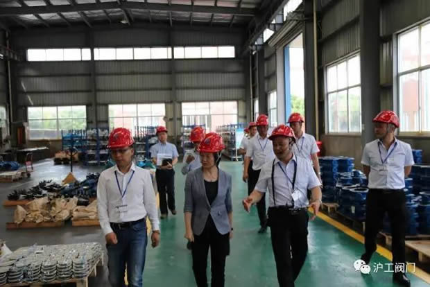 嘉定区副区长陆祖芳等领导一行莅临我公司视察指导工作（图8）