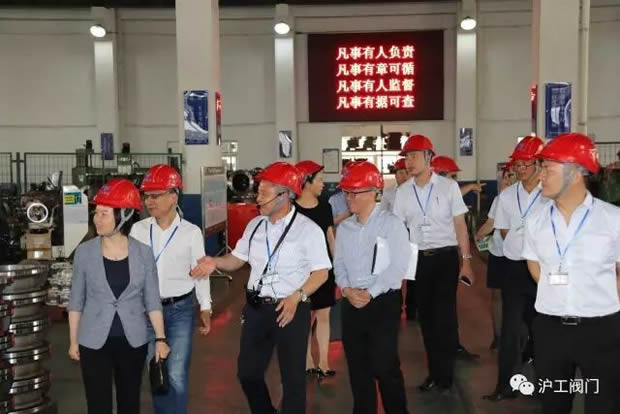 嘉定区副区长陆祖芳等领导一行莅临我公司视察指导工作（图10）