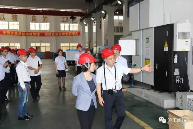 嘉定区副区长陆祖芳等领导一行莅临我公司视察指导工作（图11）