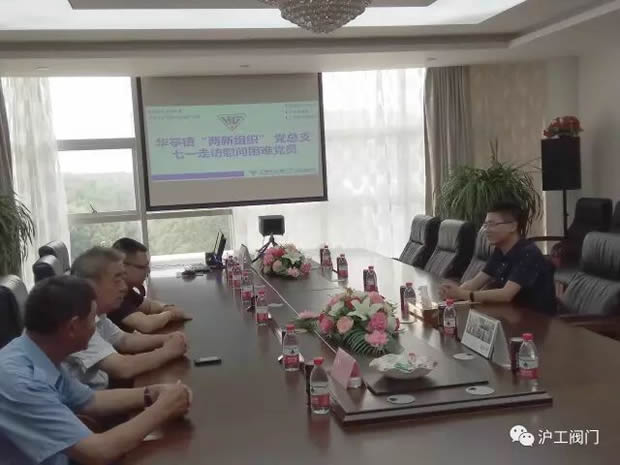 华亭镇“两新组织”党总支七一前夕走访慰问沪工阀门困难党员(图1)