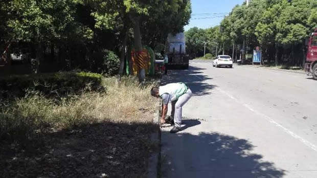 沪工阀门美丽华亭清洁家园志愿者活动（图2）