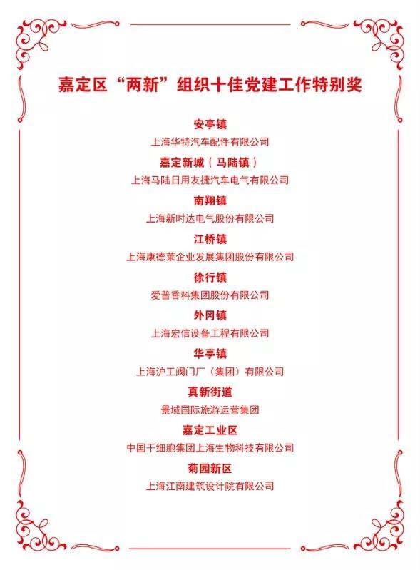 嘉定区两新组织十佳党建工作特别奖