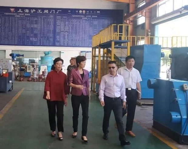 上海市嘉定区委常委、副区长董依雯视察生产车间(图1)