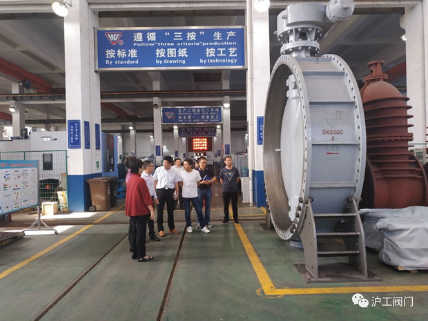 上海市嘉定区委常委、副区长董依雯视察生产车间(图2)