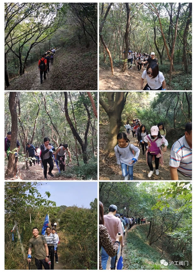 上海沪工阀门厂2019年秋季徒步毅行活动(图4)