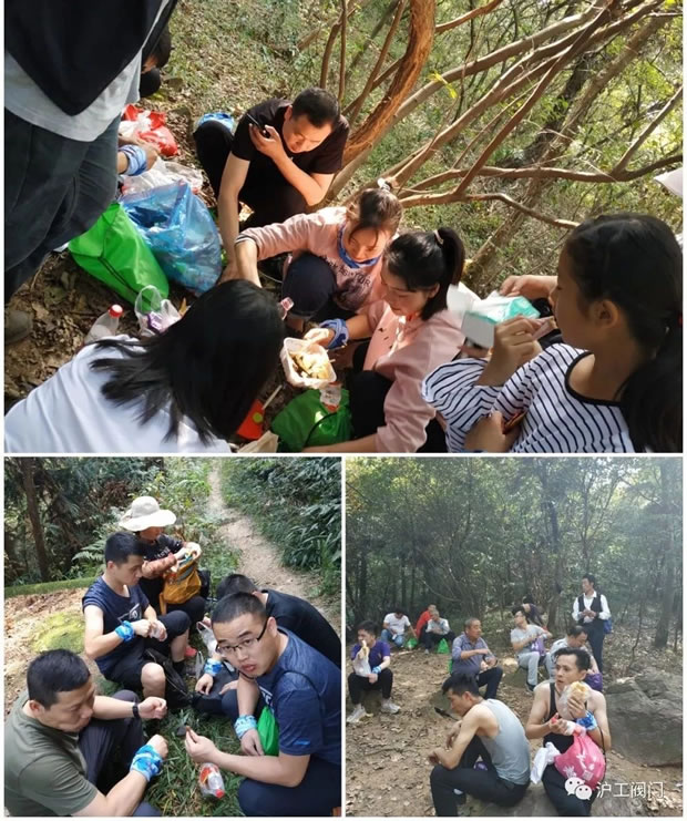 上海沪工阀门厂2019年秋季徒步毅行活动(图5)