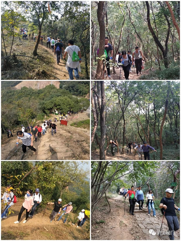 上海沪工阀门厂2019年秋季徒步毅行活动(图6)