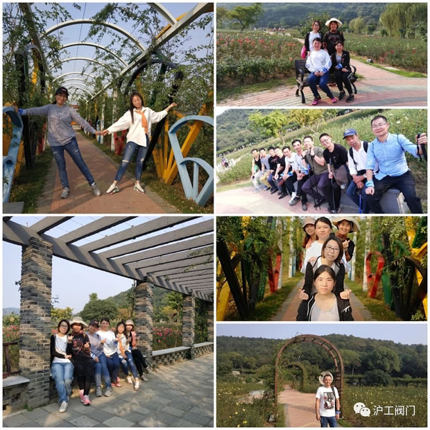 上海沪工阀门厂2019年秋季徒步毅行活动(图7)