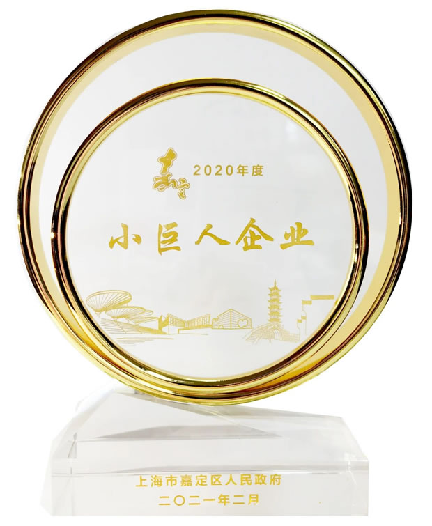 上海沪工阀门厂嘉定区小巨人荣誉奖杯