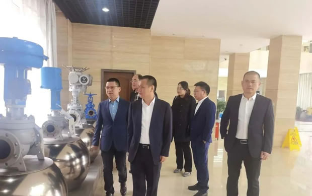 浙江省永嘉县政府考察团莅临我司考察指导工作（图2）